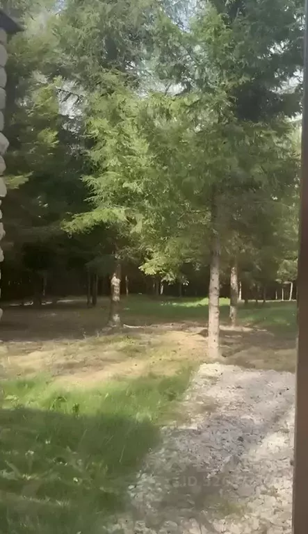 Участок в Московская область, Ступино городской округ, Шелково Форест ... - Фото 2