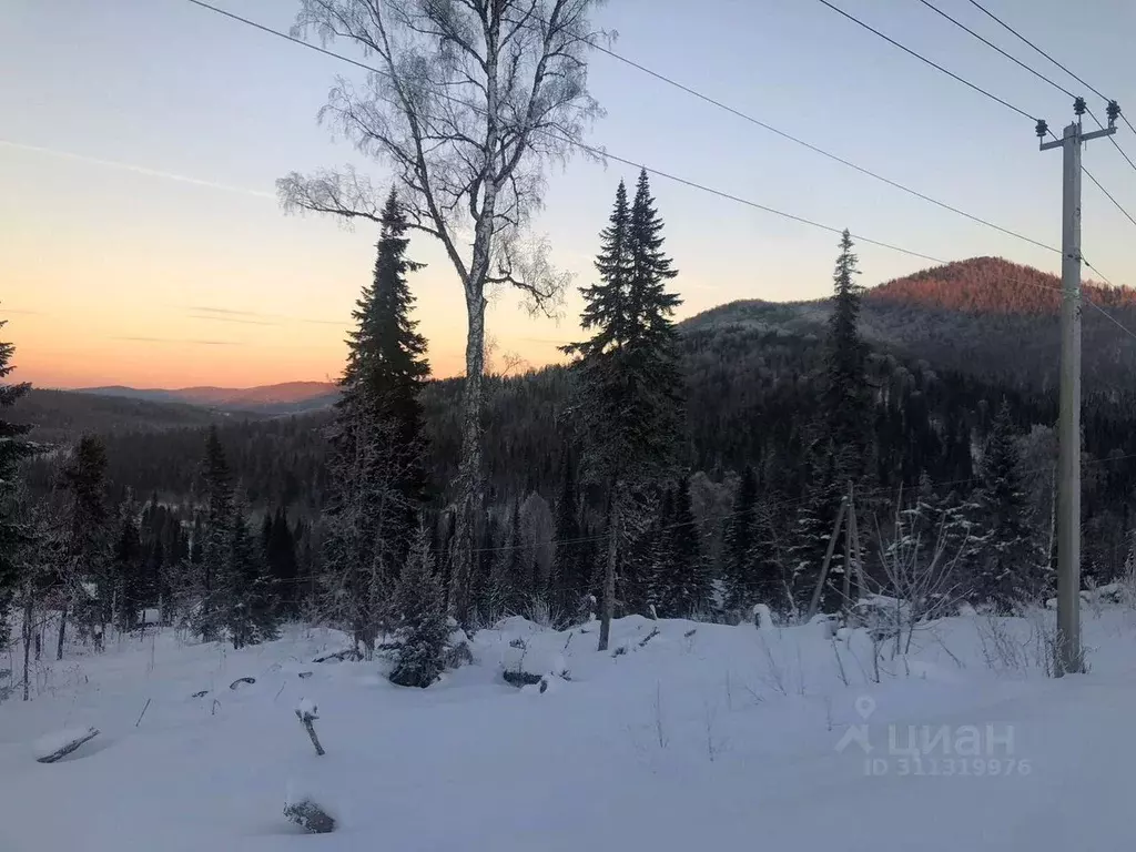 Участок в Кемеровская область, Таштагольский район, Шерегешское ... - Фото 1