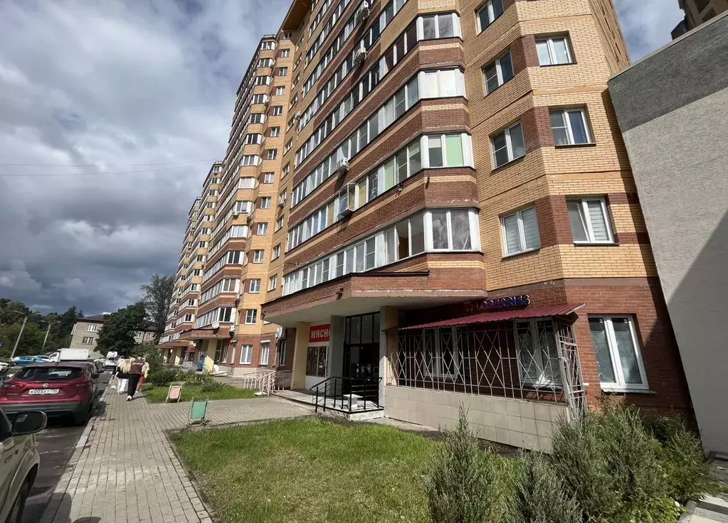 Помещение свободного назначения в Московская область, Ногинск ... - Фото 1