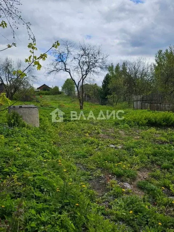 Участок в Владимирская область, Владимир с. Кусуново, ул. Центральная ... - Фото 1