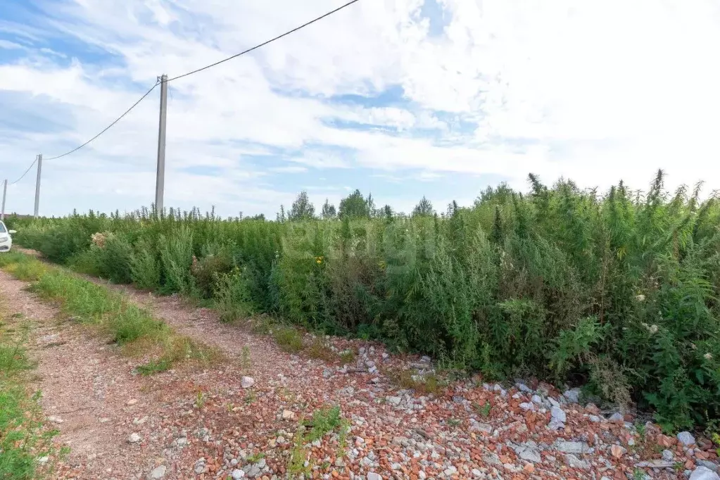 Участок в Тюменская область, Нижнетавдинский муниципальный округ, ... - Фото 1