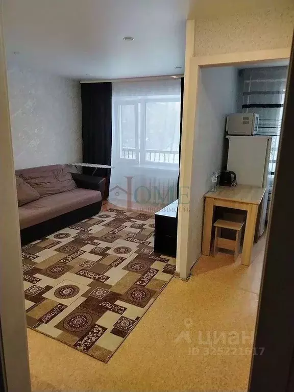 1-к кв. Новосибирская область, Новосибирск ул. Блюхера, 49 (30.0 м) - Фото 2