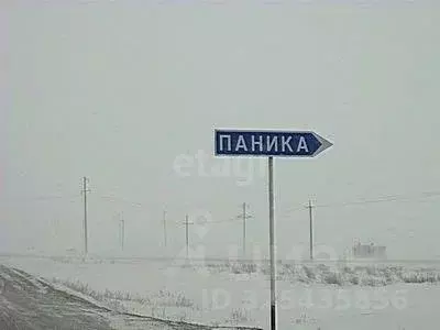 Участок в Оренбургская область, Оренбургский район, Пугачевский ... - Фото 1