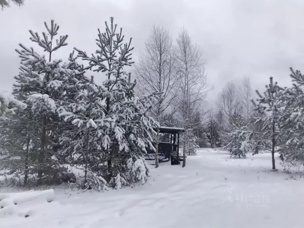 Участок в Московская область, Ступино городской округ, Михнево рп  ... - Фото 1