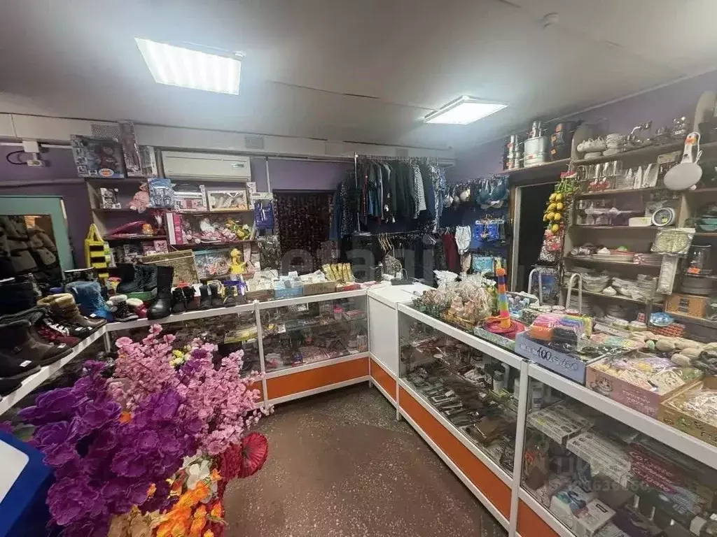 Торговая площадь в Амурская область, Благовещенский район, с. ... - Фото 1