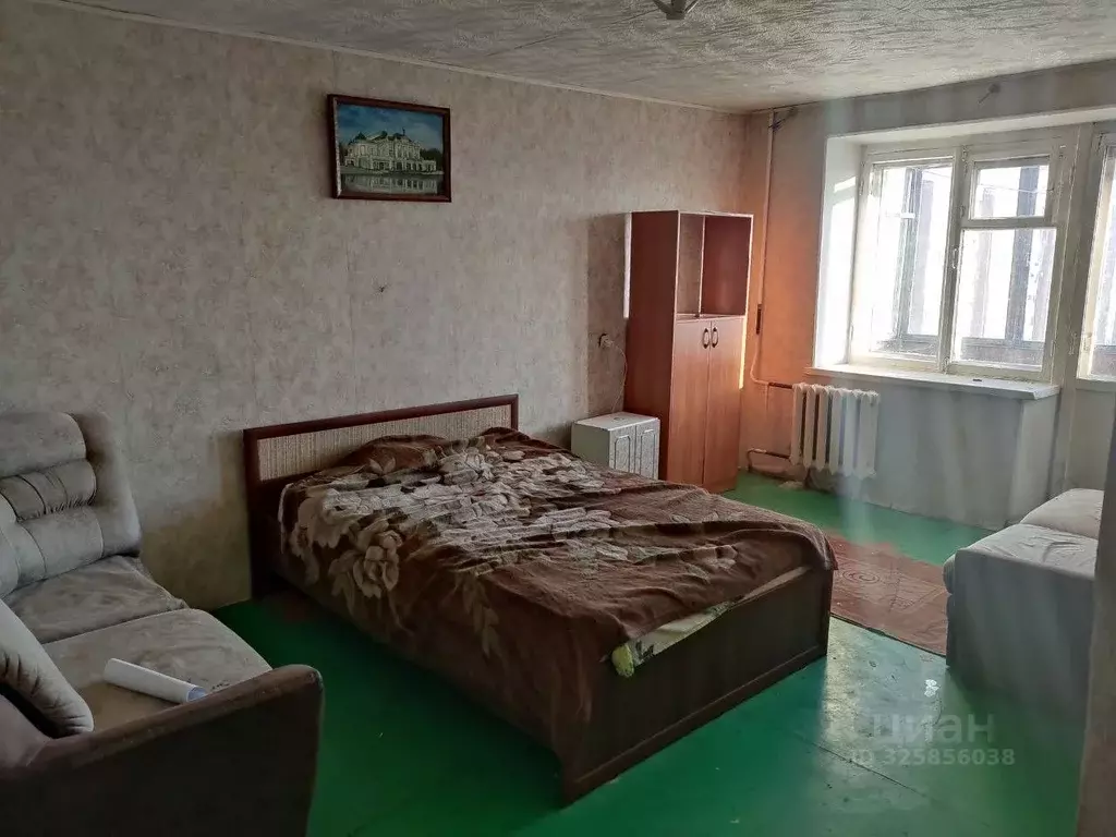 1-к кв. Омская область, Омск Городок Нефтяников мкр, ул. 22 Апреля, 48 ... - Фото 1