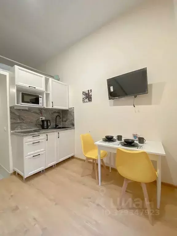 Студия Санкт-Петербург Кузнечный пер., 14а (22.0 м) - Фото 1