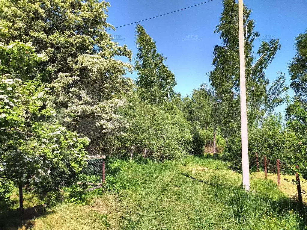 Участок 18,9 сот. (СНТ, ДНП) - Фото 0
