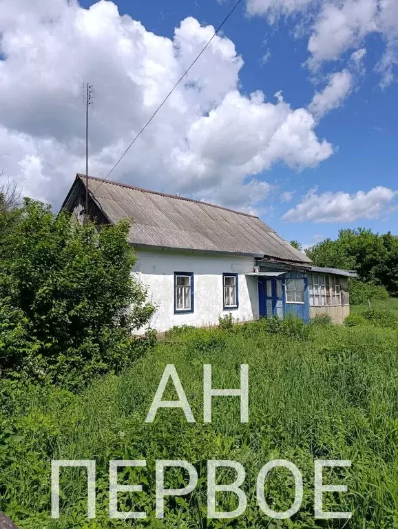 Дом в Рязанская область, Ряжск ул. Лапутина, 106 (35 м) - Фото 2
