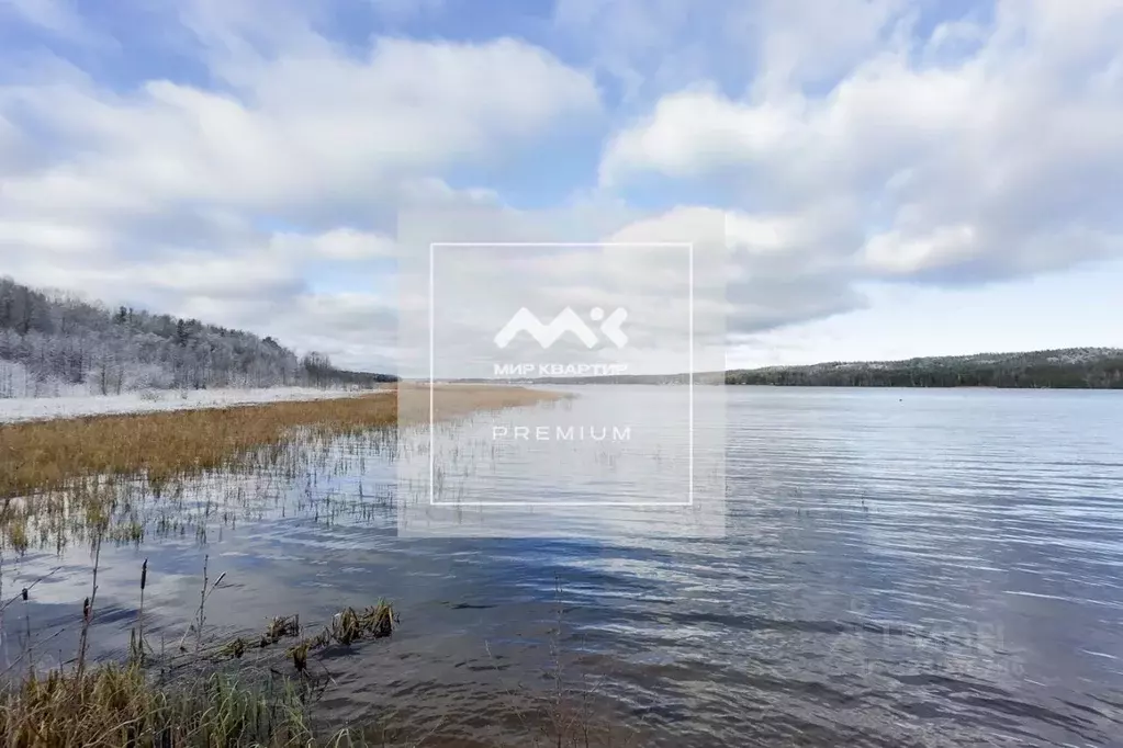 Участок в Ленинградская область, Выборгский район, Рощинское городское ... - Фото 1