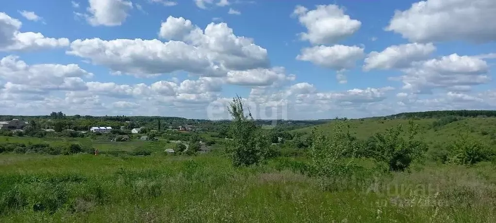 Участок в Воронежская область, Рамонский район, с. Русская Гвоздевка ... - Фото 1