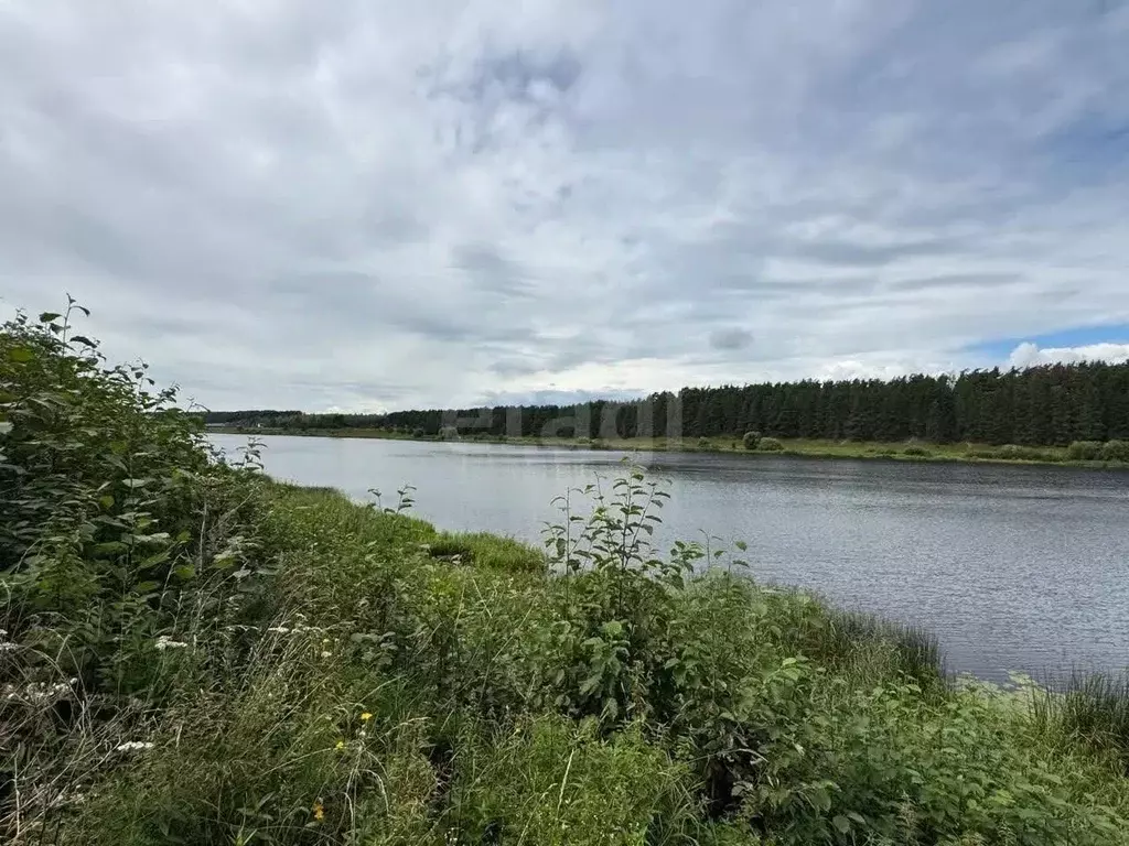 Участок в Тверская область, Калининский муниципальный округ, д. ... - Фото 1