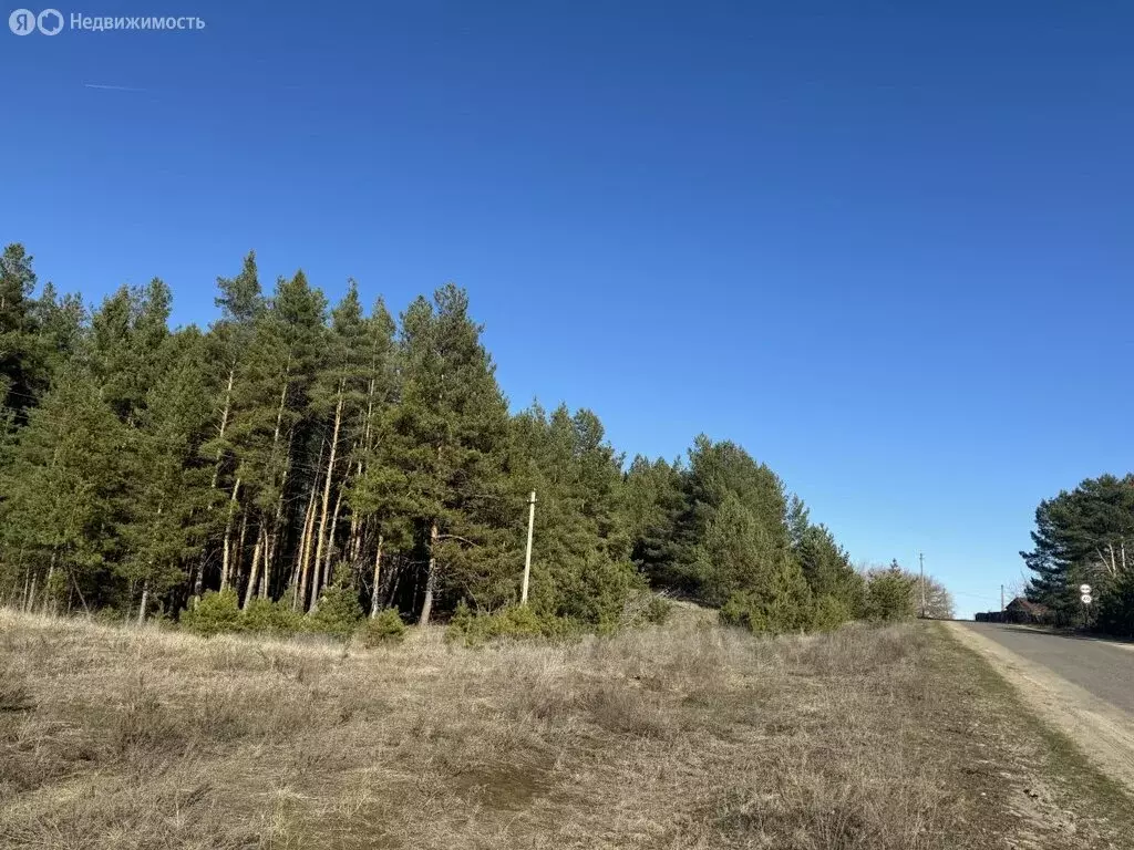Участок в село Сухотинка, улица Сурёнка (18.44 м) - Фото 0