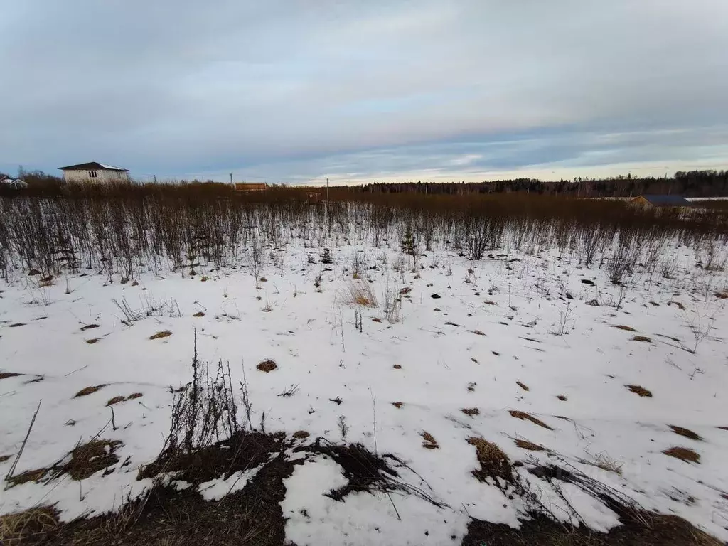 Участок в Московская область, Рузский муниципальный округ, д. Леньково ... - Фото 1