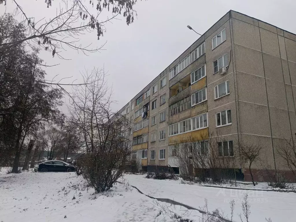 2-к кв. Московская область, Воскресенск ул. Мичурина, 11 (53.2 м) - Фото 2