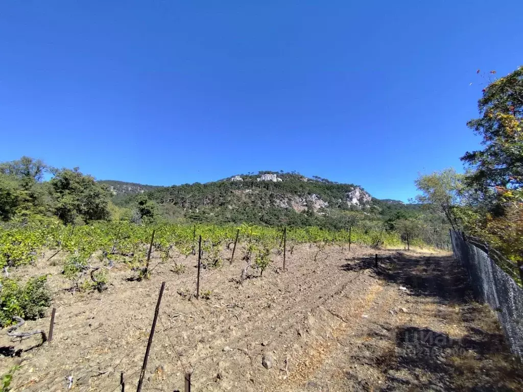 Участок в Крым, Ялта муниципальный округ, Массандра пгт  (7.2 сот.) - Фото 2