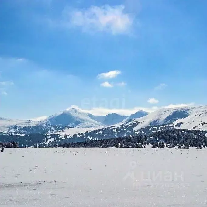 Участок в Алтай, Чемальский район, с. Чемал  (19.57 сот.) - Фото 1