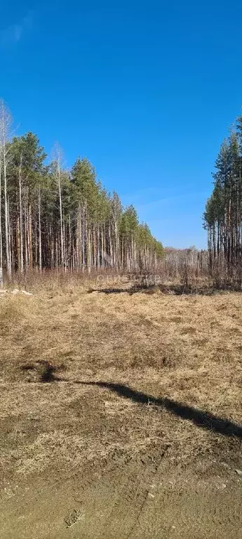 Участок в Свердловская область, Ревда городской округ, с. Кунгурка ул. ... - Фото 1