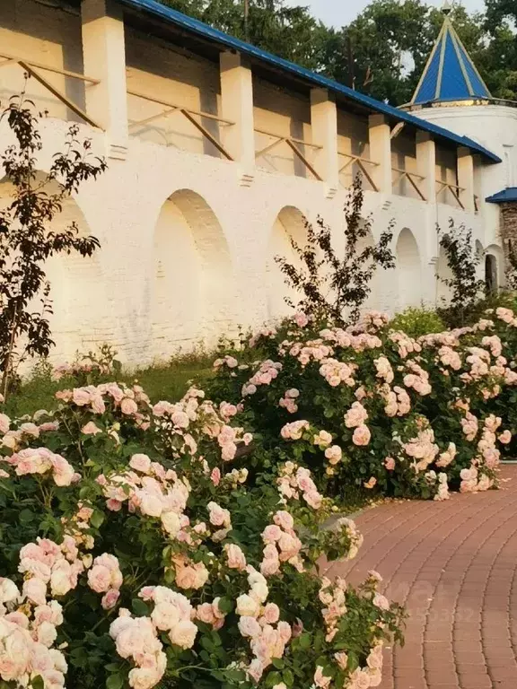 2-к кв. Рязанская область, Рязань Солотча р-н, 10А (60.0 м) - Фото 1