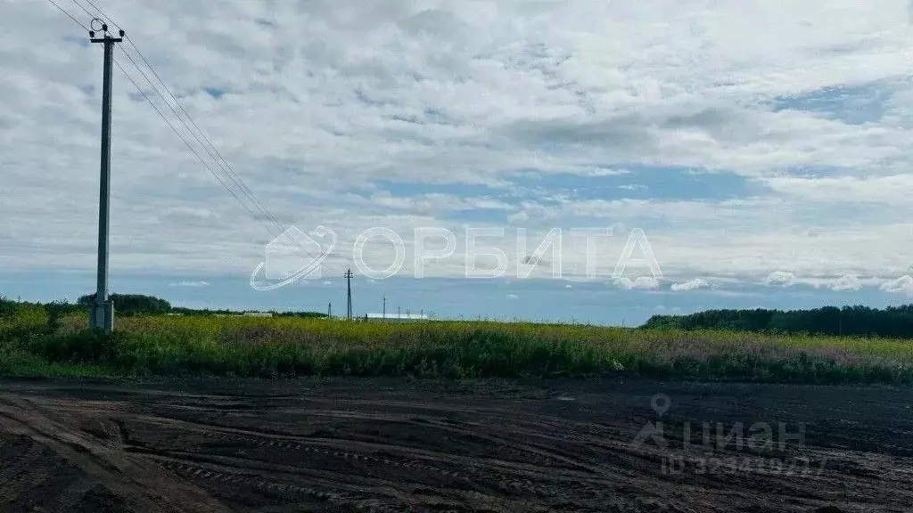 Участок в Тюменская область, Тюменский муниципальный округ, с. ... - Фото 1