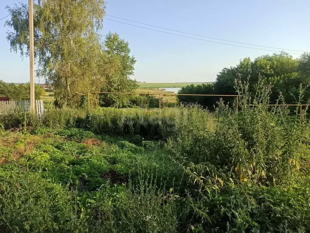 Участок в Мордовия, Лямбирский район, с. Атемар ул. Деревушка, 78 ... - Фото 2