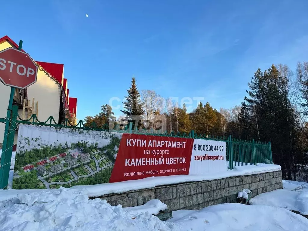 Студия Челябинская область, Трехгорный Горная ул., 10 (22.3 м) - Фото 1