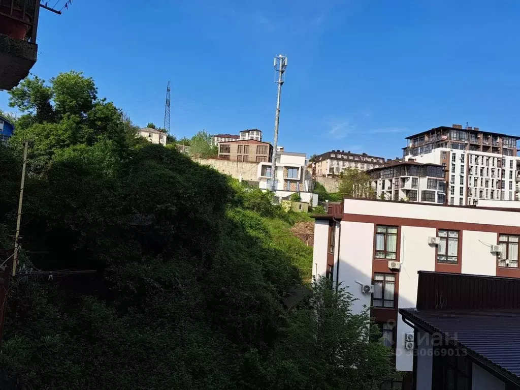 Студия Краснодарский край, Сочи ул. Тимирязева, 53 (28.5 м) - Фото 1