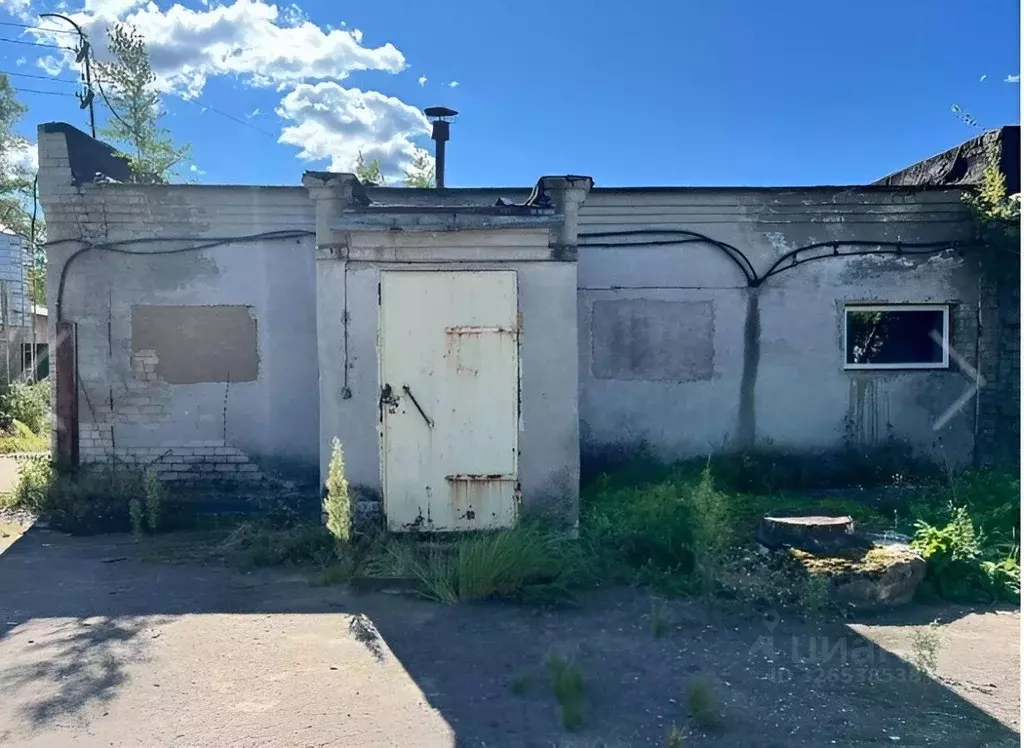 Помещение свободного назначения в Ярославская область, Некрасовский ... - Фото 2