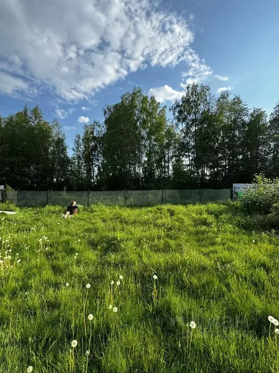 Участок в Ленинградская область, Кировское городское поселение, ... - Фото 0