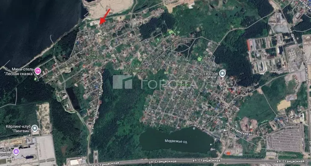 Участок в Новосибирская область, Новосибирский район, Криводановский ... - Фото 1