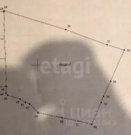 Участок в Псковская область, Печорский муниципальный округ, д. Лавры ... - Фото 2