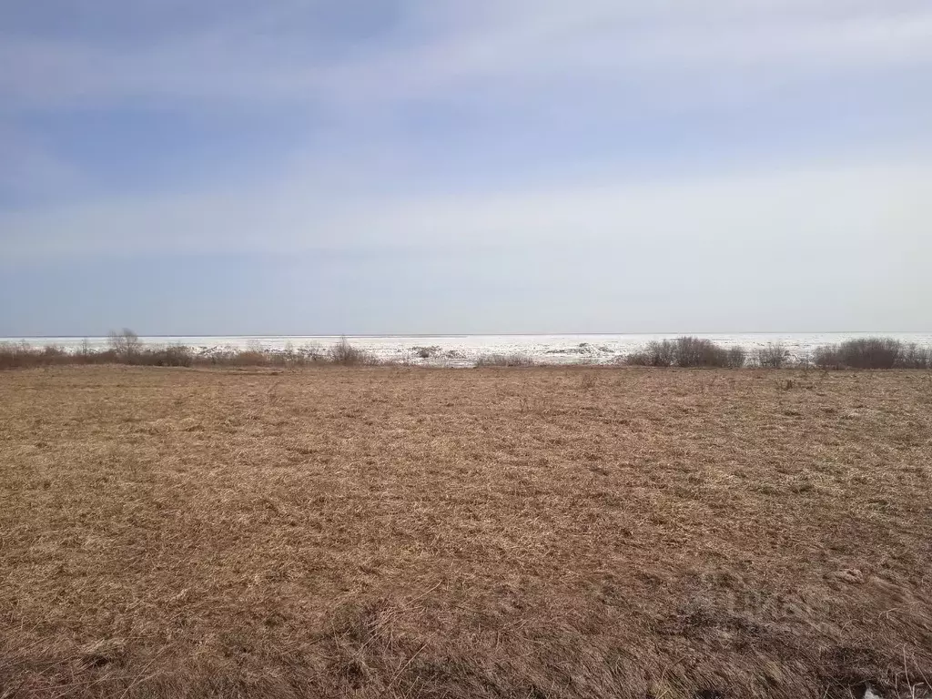 Участок в Новгородская область, Новгородский район, Борковское с/пос, ... - Фото 1