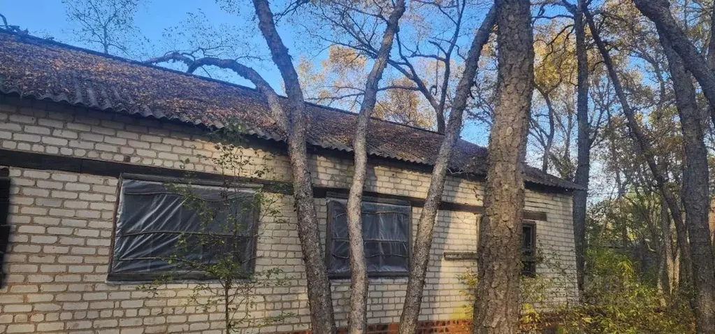 Помещение свободного назначения в Амурская область, Серышевский ... - Фото 2