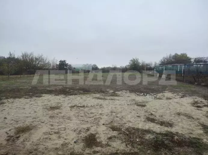 Участок в Ростовская область, Октябрьский район, Кривянское с/пос, ... - Фото 2