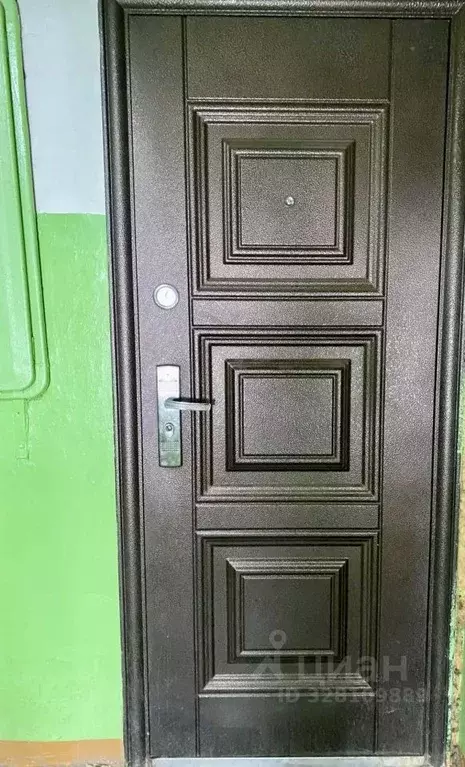 1-к кв. Нижегородская область, Богородский муниципальный округ, с. ... - Фото 2