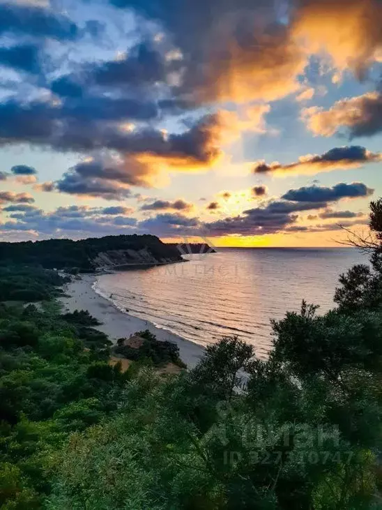 Участок в Калининградская область, Зеленоградский муниципальный округ, ... - Фото 1