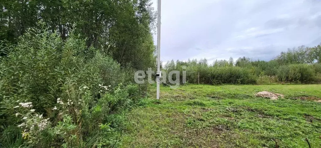 участок в костромская область, красносельский район, боровиковское . - Фото 1