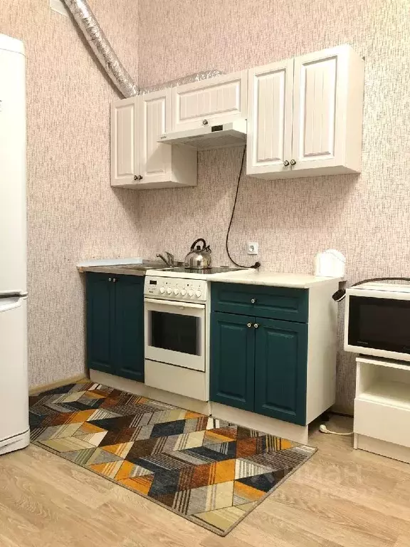 1-к кв. Ленинградская область, Мурино Всеволожский район, ул. Шоссе в ... - Фото 2