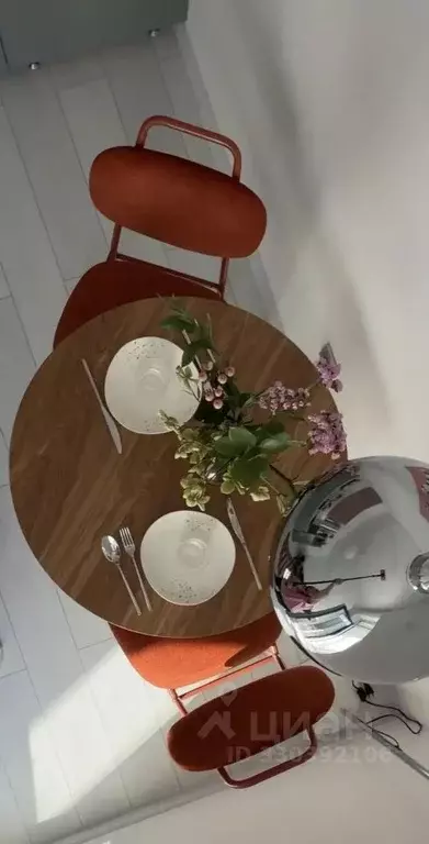 Студия Санкт-Петербург Пулковское ш., 109к4 (24.0 м) - Фото 2