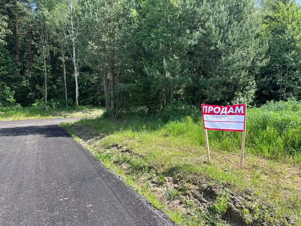 Участок в Московская область, Клин городской округ, Решетниково пгт, ... - Фото 0