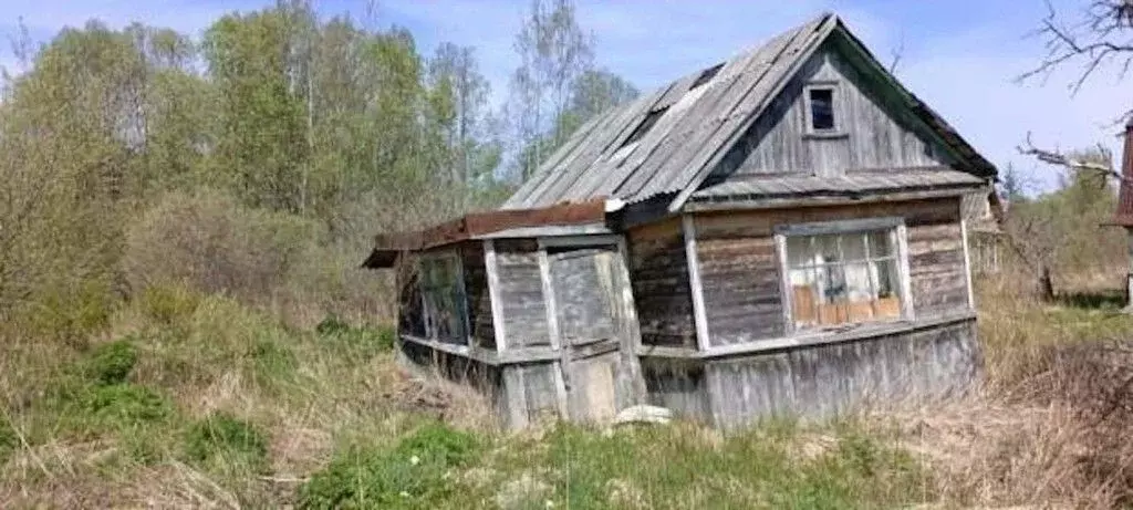 Дом в Новгородская область, Старорусский район, Новосельское с/пос, ... - Фото 1