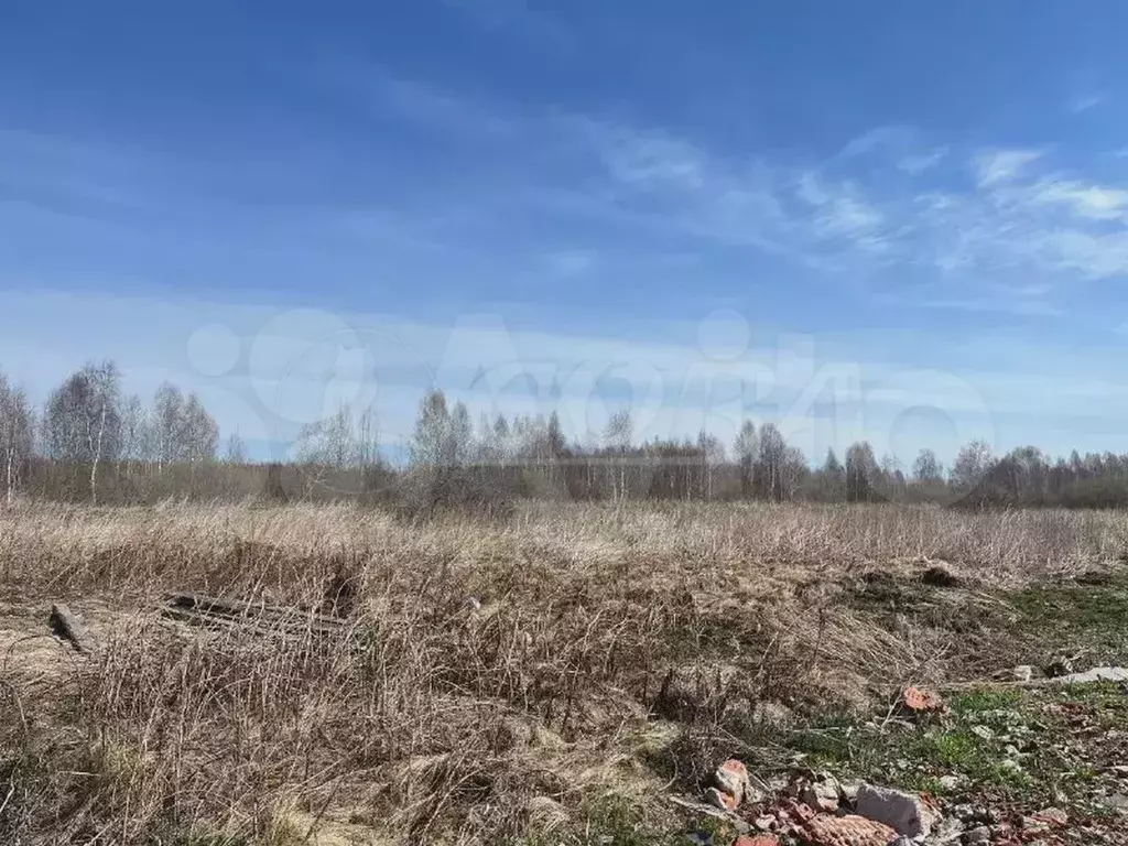 Участок 10 сот. (СНТ, ДНП) - Фото 0