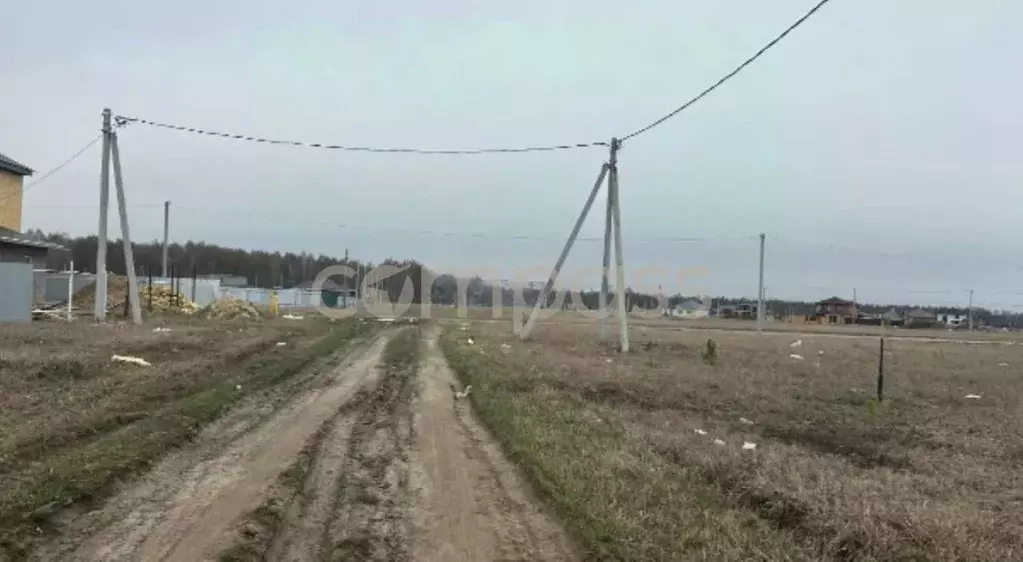 Участок в Тюменская область, Тюменский район, д. Падерина Луговая ул. ... - Фото 1