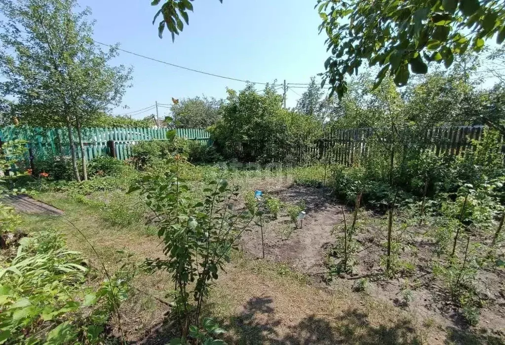 Участок в Ульяновская область, Ульяновск Белый Ключ-1 СНТ, 221 (4.0 ... - Фото 0