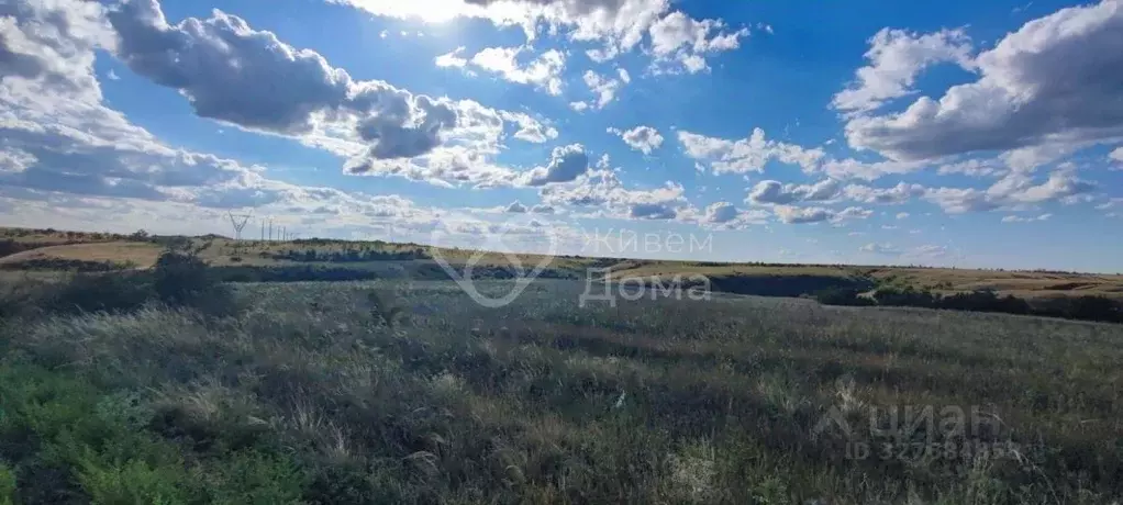Участок в Волгоградская область, Городищенский район, Царицынское ... - Фото 1