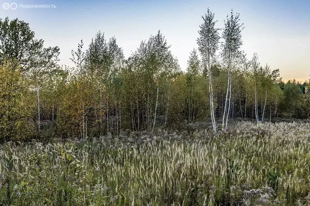 Участок в деревня Дарьино, территория Новое Николино (96 м) - Фото 1