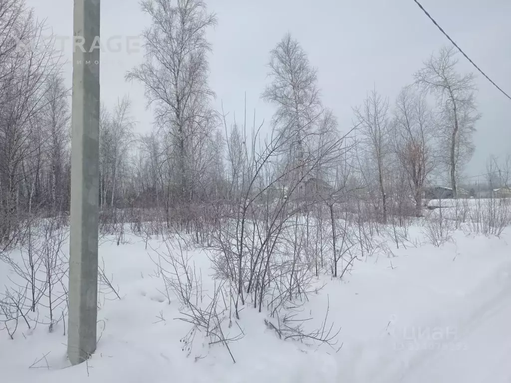 Участок в Новосибирская область, Новосибирский район, Кубовинский ... - Фото 1