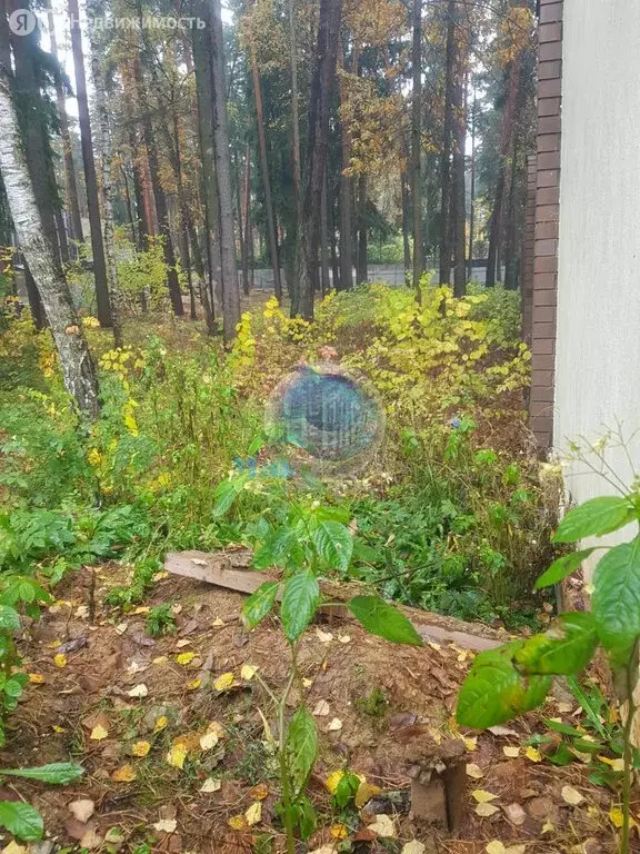 Участок в Одинцовский городской округ, посёлок дачного хозяйства ... - Фото 1