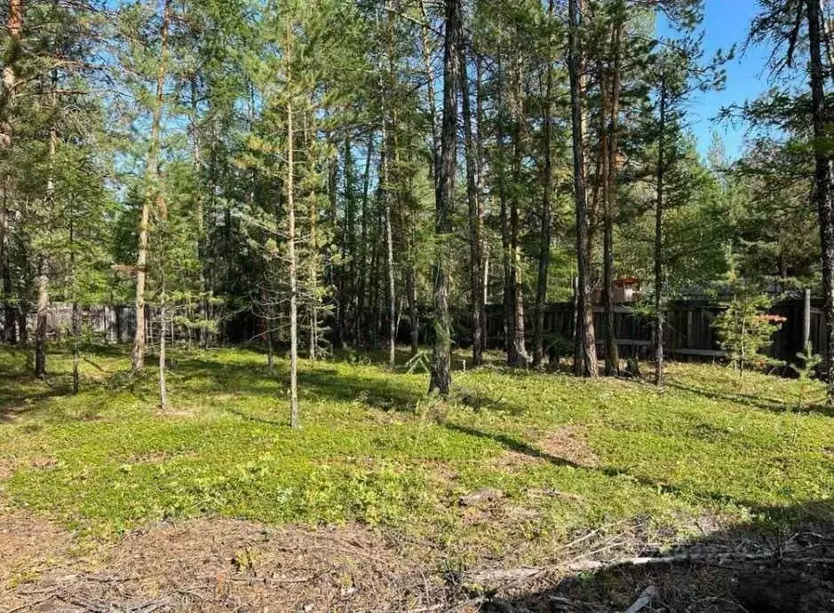 Участок в Саха (Якутия), Якутск городской округ, с. Маган  (6.5 сот.) - Фото 2
