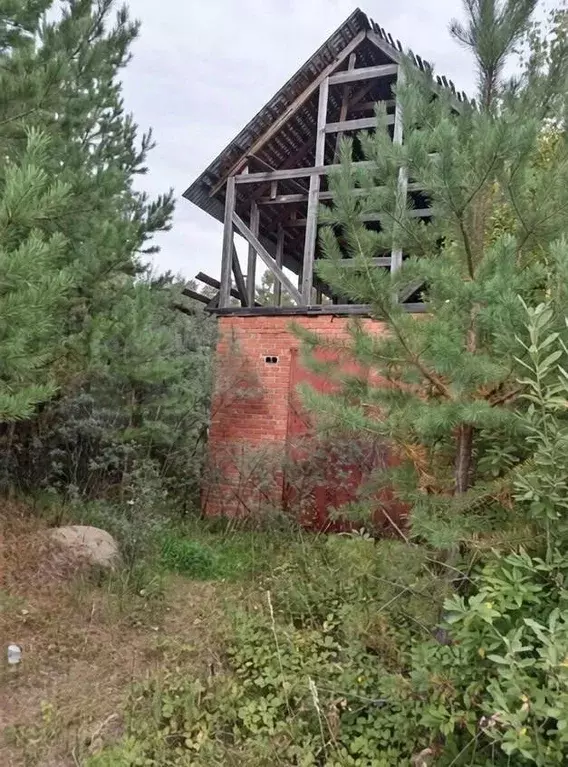 Участок в Томская область, Шегарский район, пос. Победа Сосновая ул., ... - Фото 2